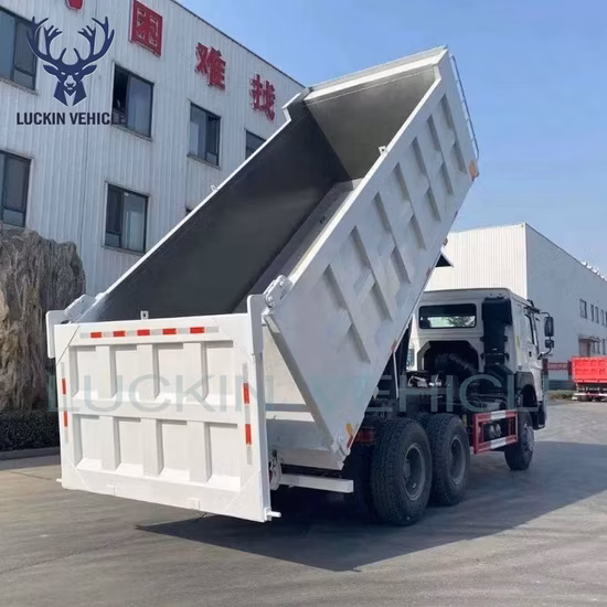 Shacman F2000/F3000/H3000/X3000 Caminhão Pesado com Cabine de Caminhão Ar Condicionado